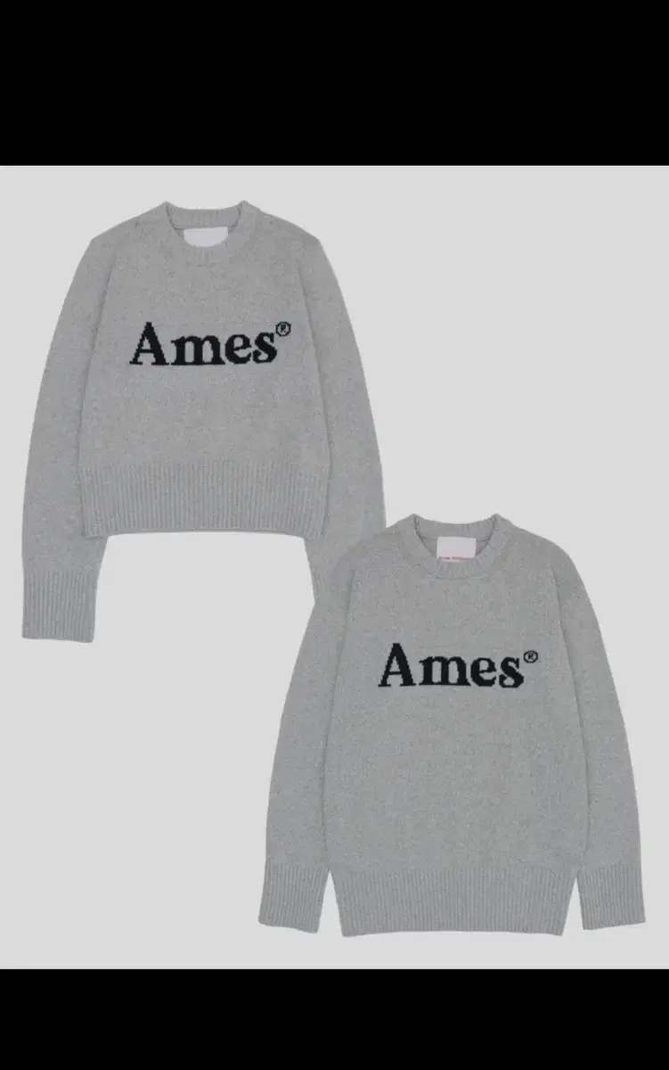 Ames Worldwide Knit Gray M size