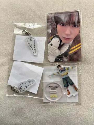 NCT WISH 랜덤 토이 려