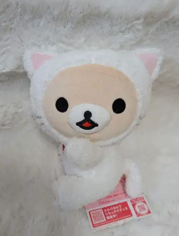 리락쿠마 제일복권 한가로운 고양이 봉제 인형 라스트원 코리락쿠마