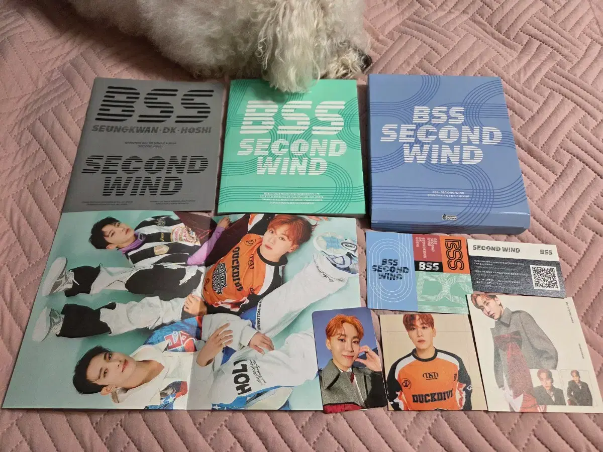 Seventeen Bu Seok-soon Fighting should be poca Including album Full composition seungkwan dk Hoshi