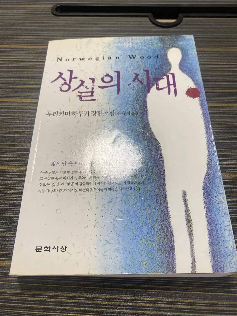 상실의시대 (노르웨이의숲)