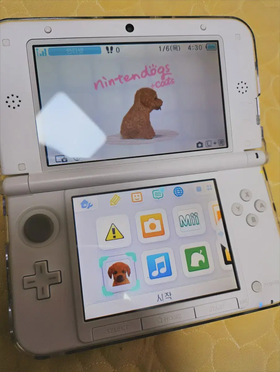 3ds Nintendo DS Poodle & Cats Sell