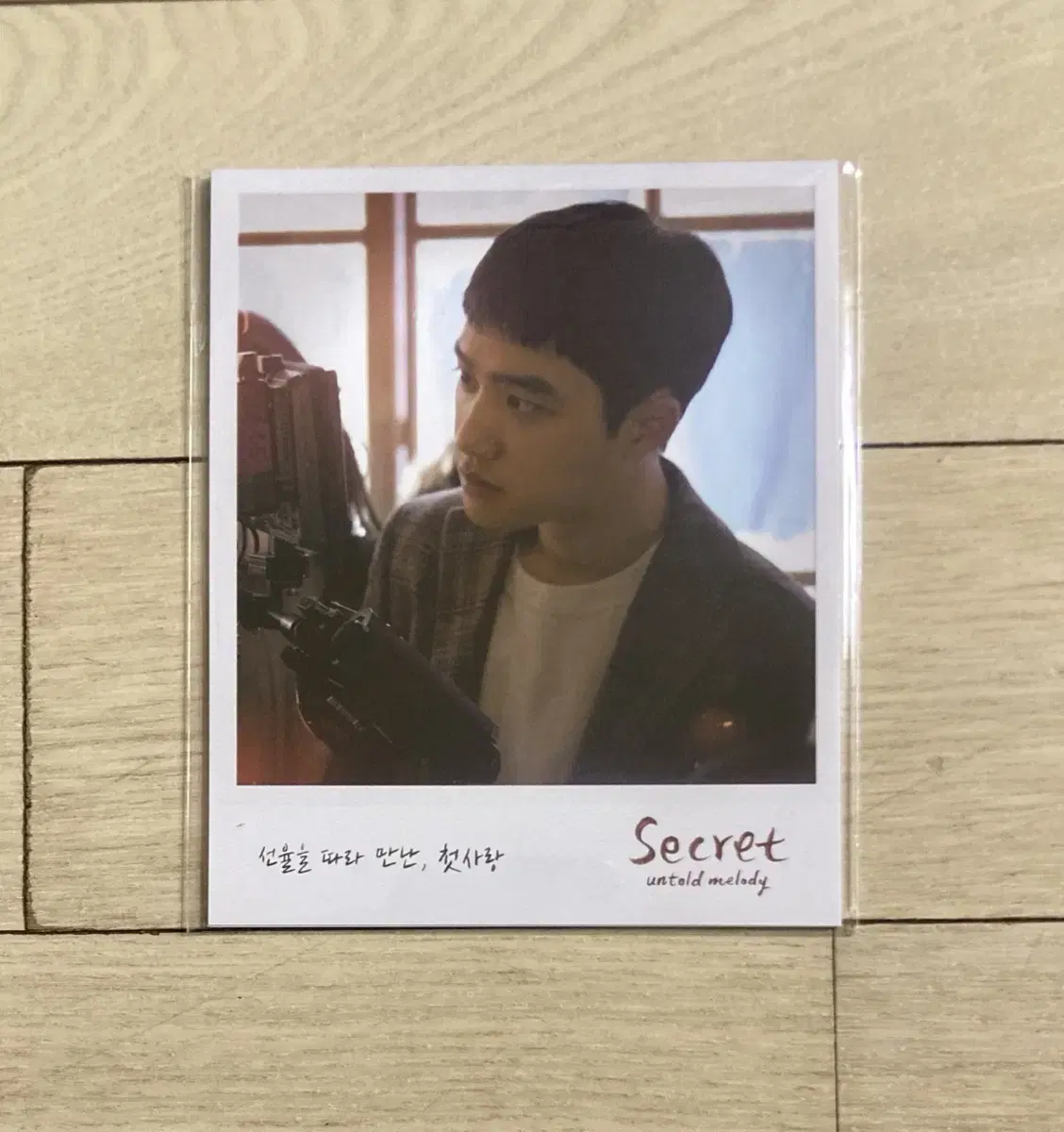 [The Unspeakable Secret] Valentine's Day polaroid Postcard set/poster