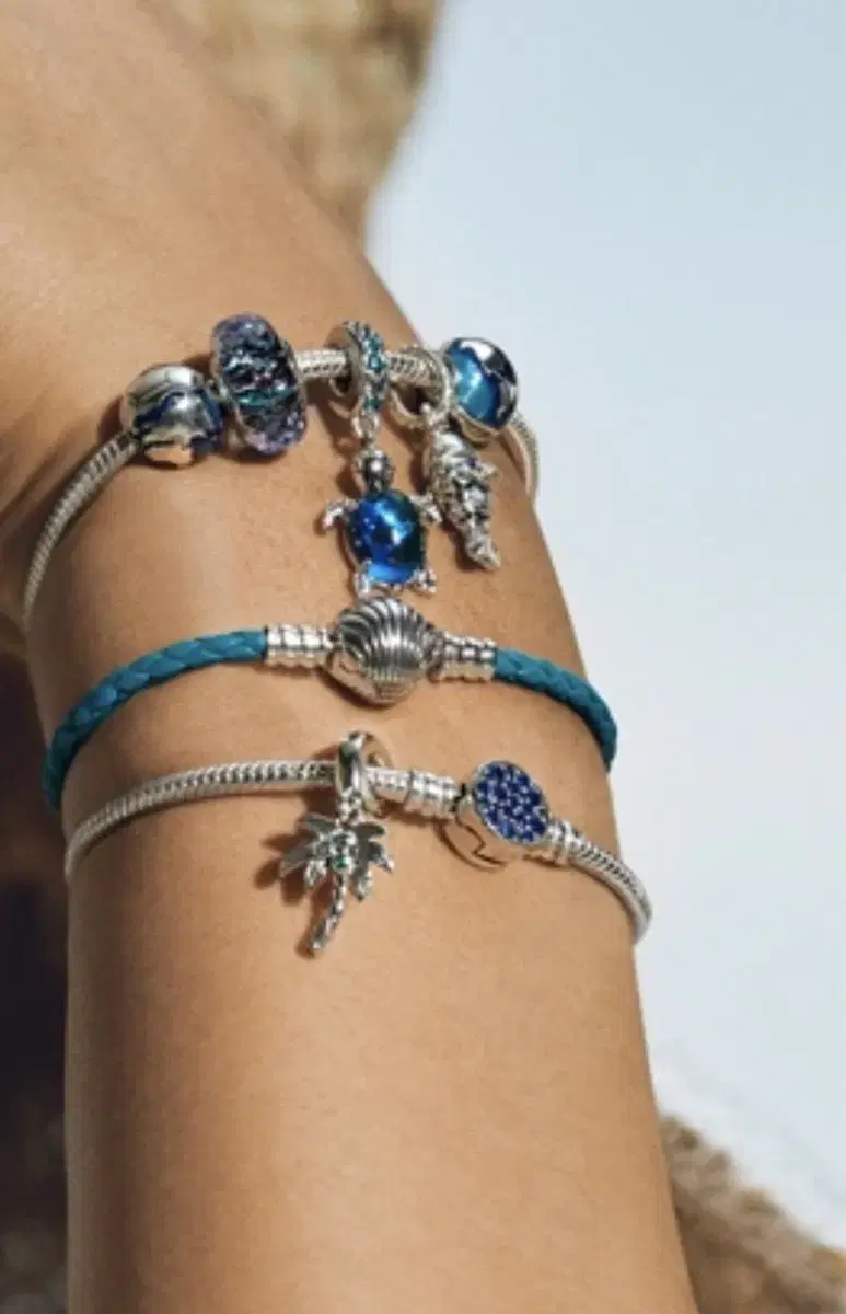 Pandora bracelet (includes 8 charms)