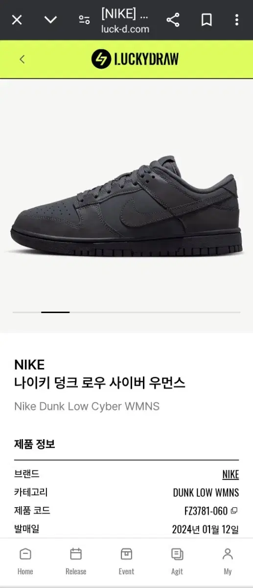 나이키 덩크 로우 Anthracite Black