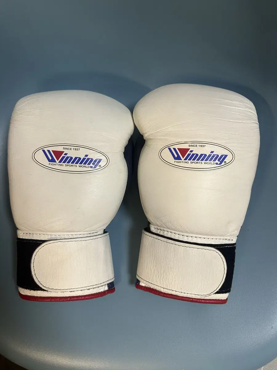 Winning Custom Velcro 10 oz. Glove