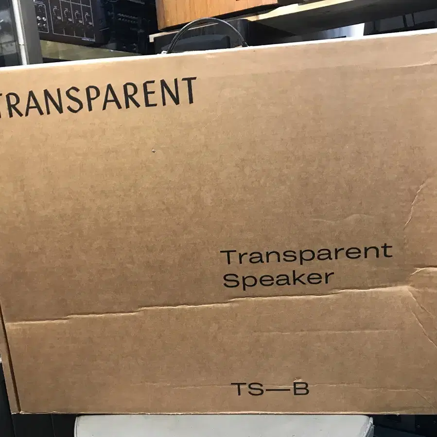 Transparent Speaker TS-B