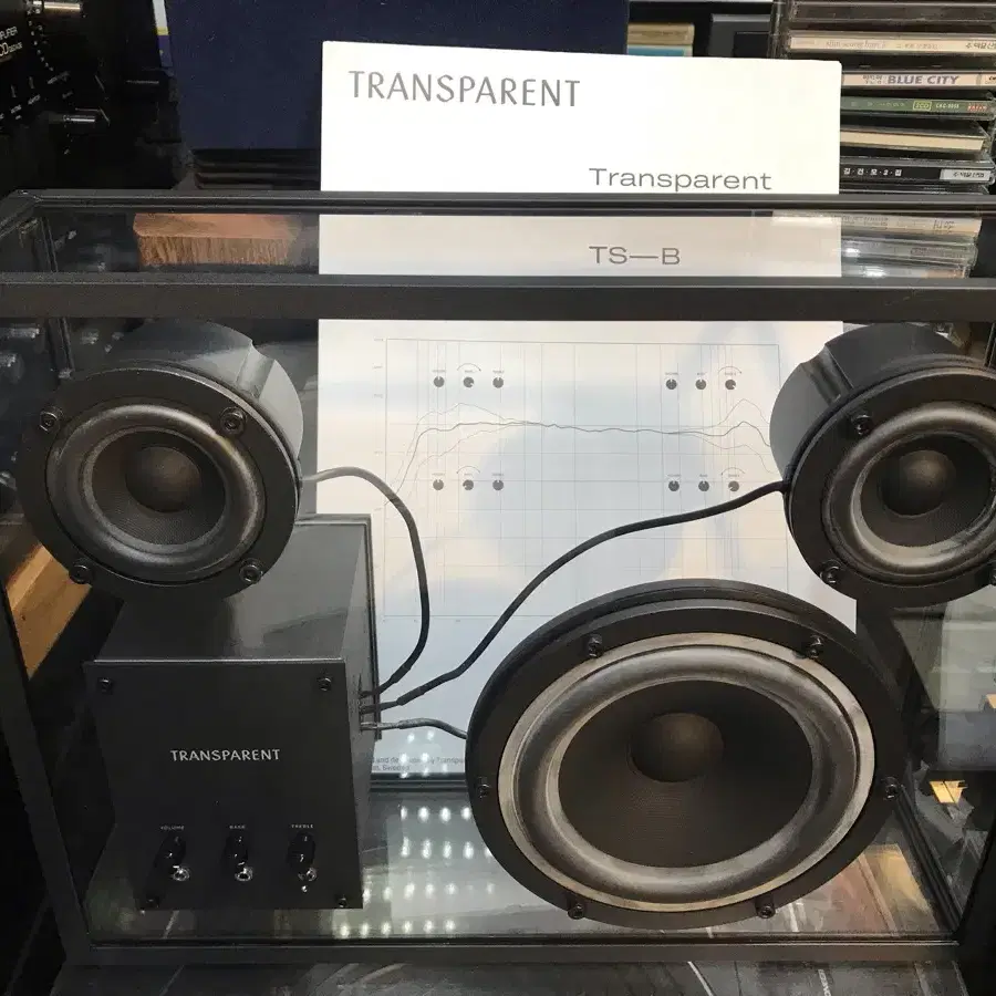 Transparent Speaker TS-B