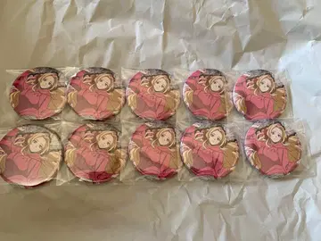 히로아카 유어넥스트 안나 캔배지