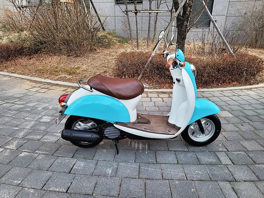 깔끔하게 관리한 혼다 스쿠피 (50cc) 판매합니다.