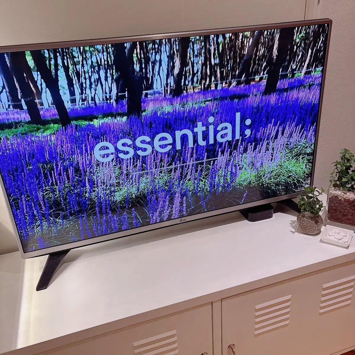 LG 43인치 LED TV +애플TV 풀구성품 (스마트티비처럼 사용가능)