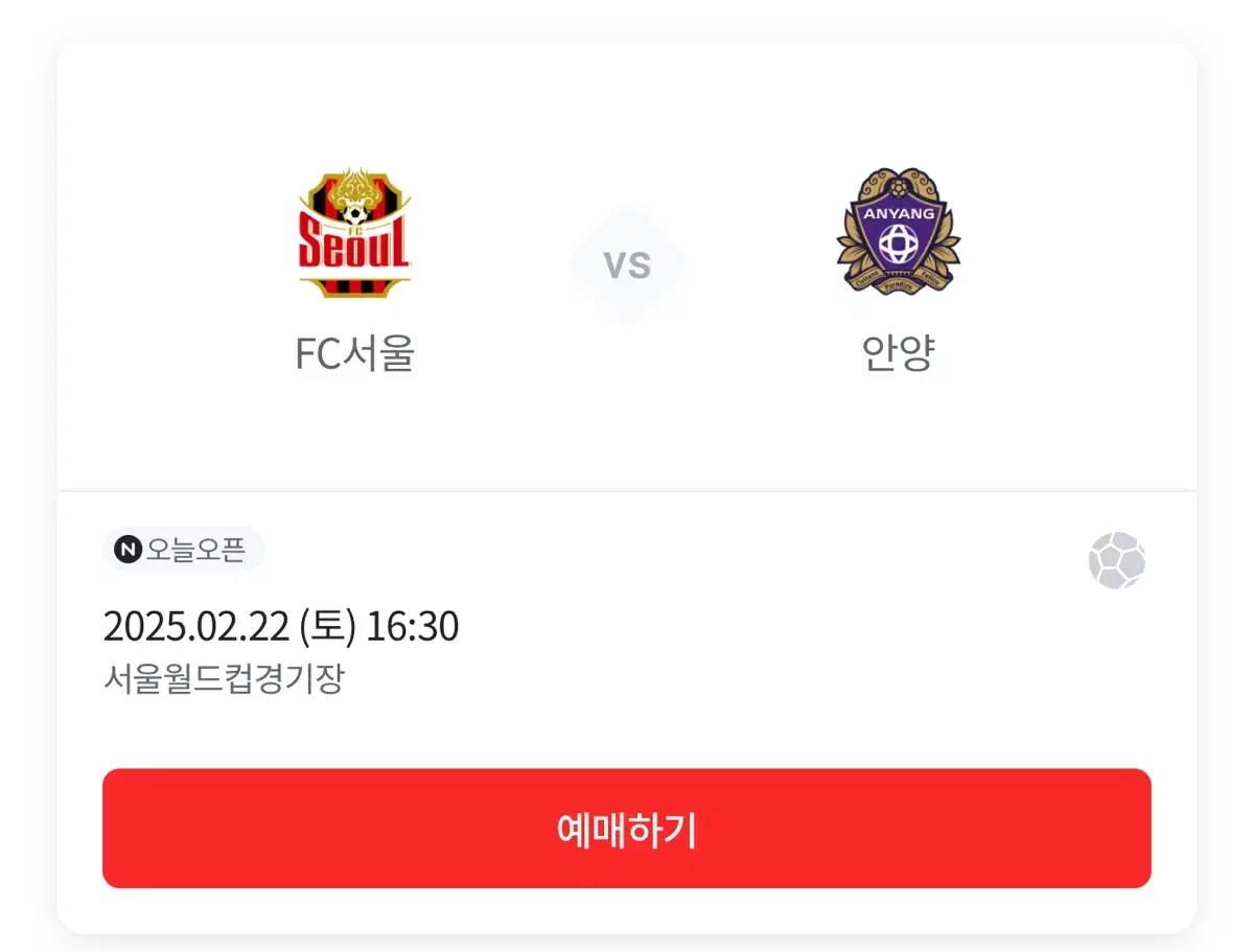 22일 서울FC 안양 원정석 연석