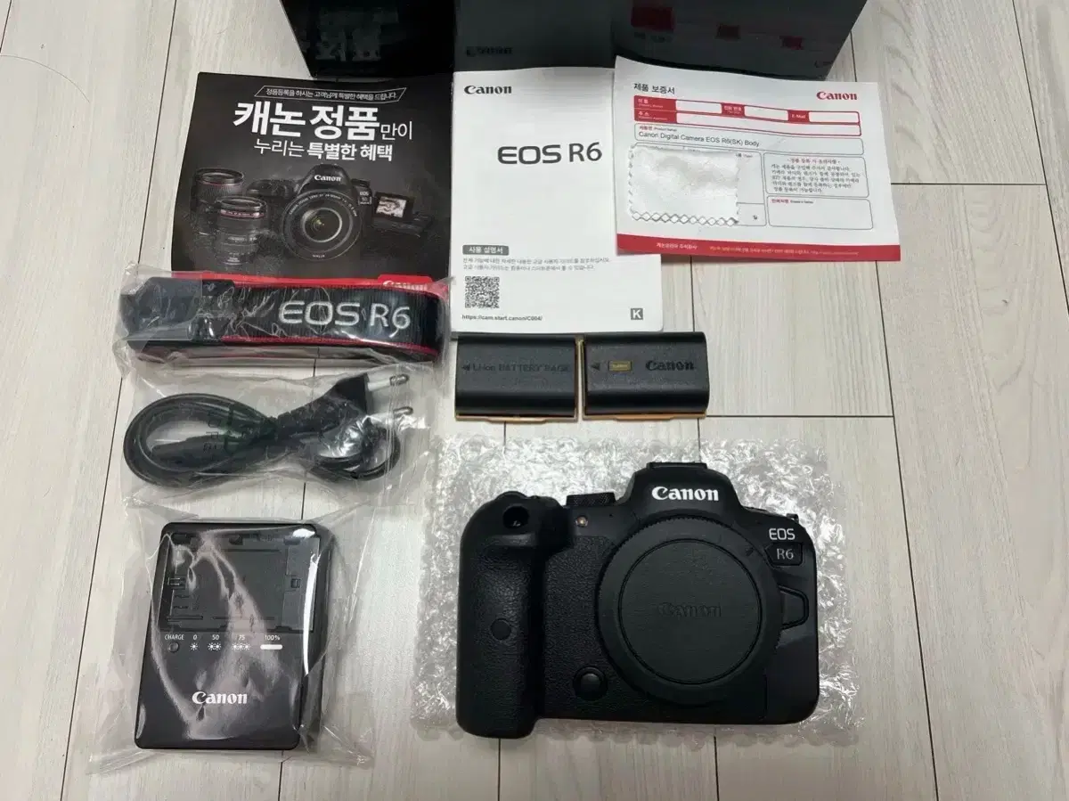 캐논 EOS R6 미러리스 중급 카메라