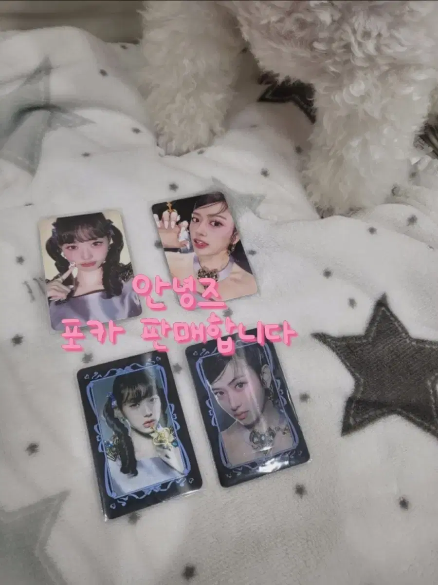 (폭덤이벵!)아이브포카