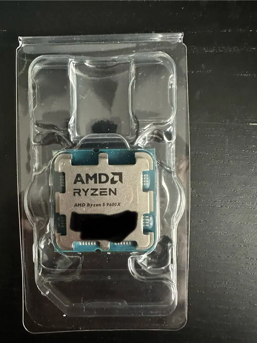 amd ryzen 9600x