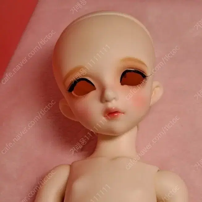 Miyadol Rosemary Offline Limited Makeup sell Ball-Jointed