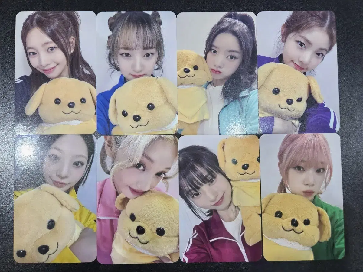 unis유니스 poca포카