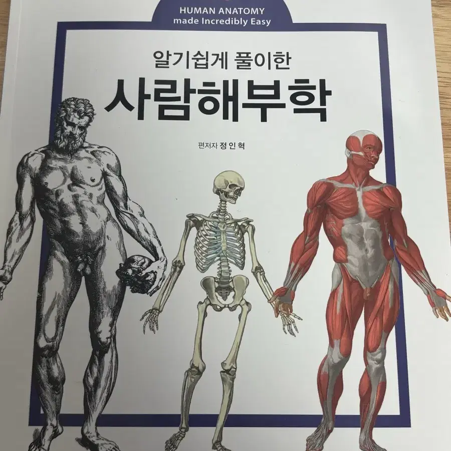 아카데미아 알기쉽게 풀이한 사람해부학