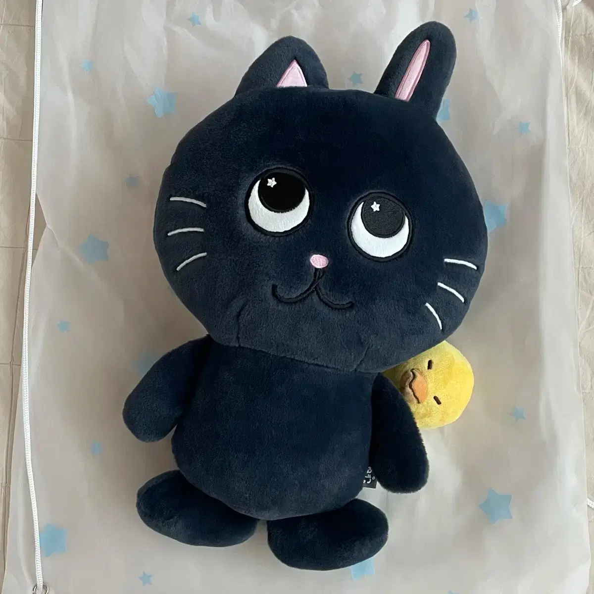 RIIZE | 라이즈 Riize wonbin Doll Giant Tonyangdeok 40cm #대왕토