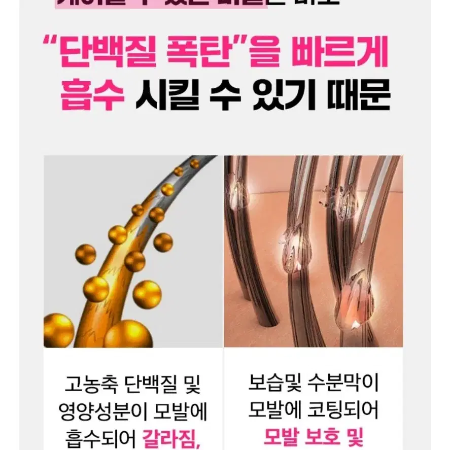 새상품) 보타미안엔젤 LPP 트리트먼트 극손상 단백질 헤어팩 머리 영양제