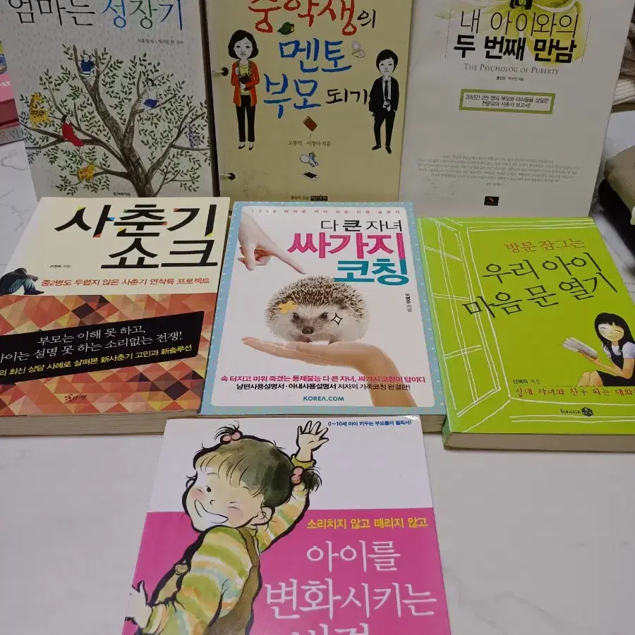 아이는사춘기엄마는성장기,중학생의멘토부모되기,다큰자녀싸가지코칭,우리아이마음