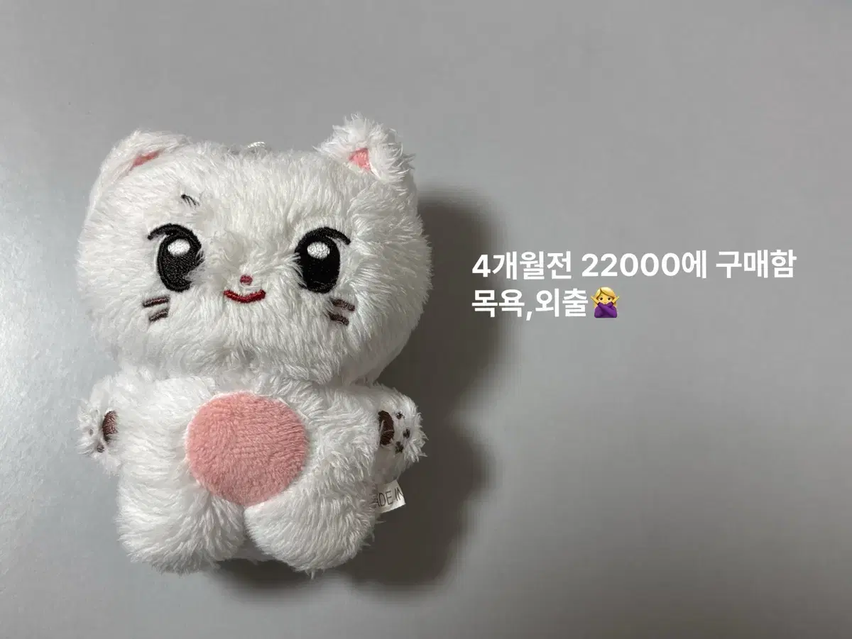 햄냥빈 판매 성한빈 제베원 아이돌 인형 고양이 포카