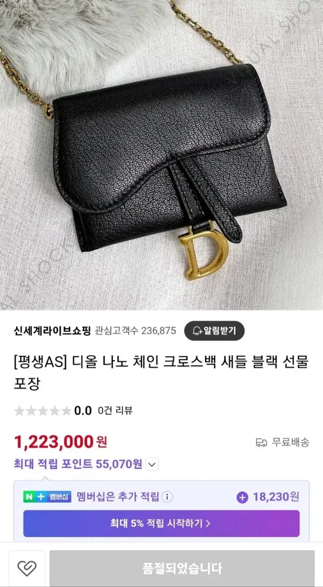 디올 새들 나노 미니 파우치 정품