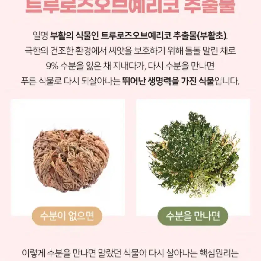 쁘띠베르당 대용량 유씨 멀티밤 30g