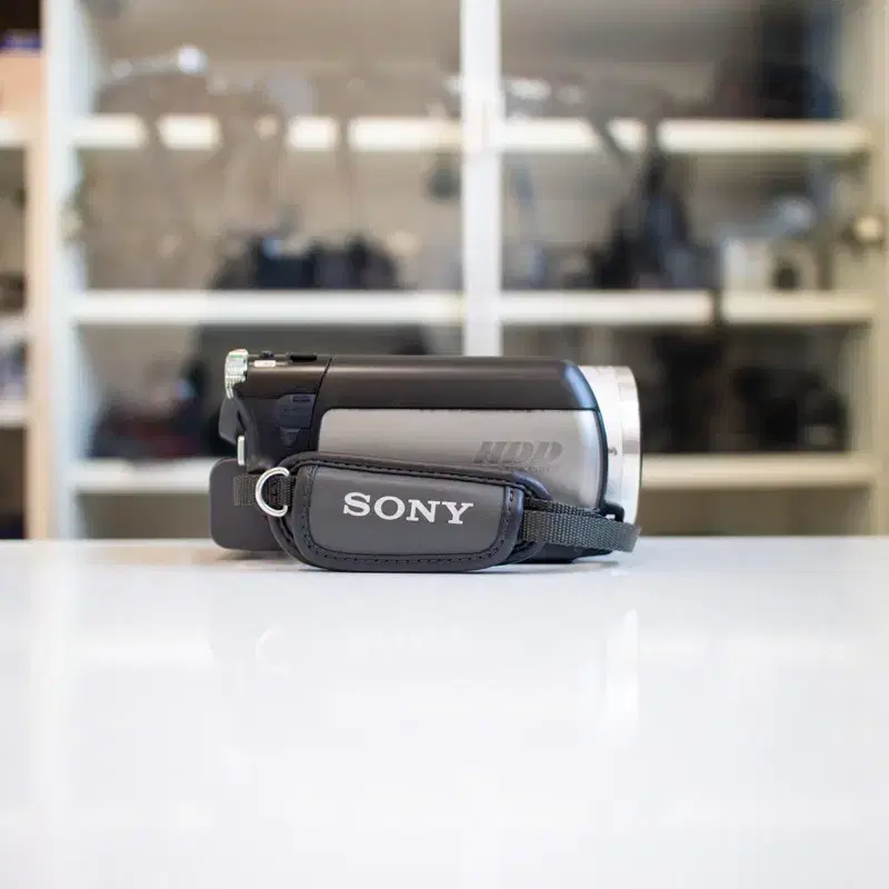 Sony DCR-SR100