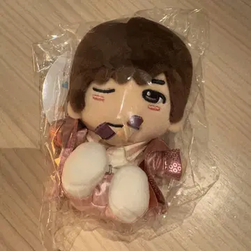 다카하시 쿄헤이 나니와단시 남자 꼬마 누이