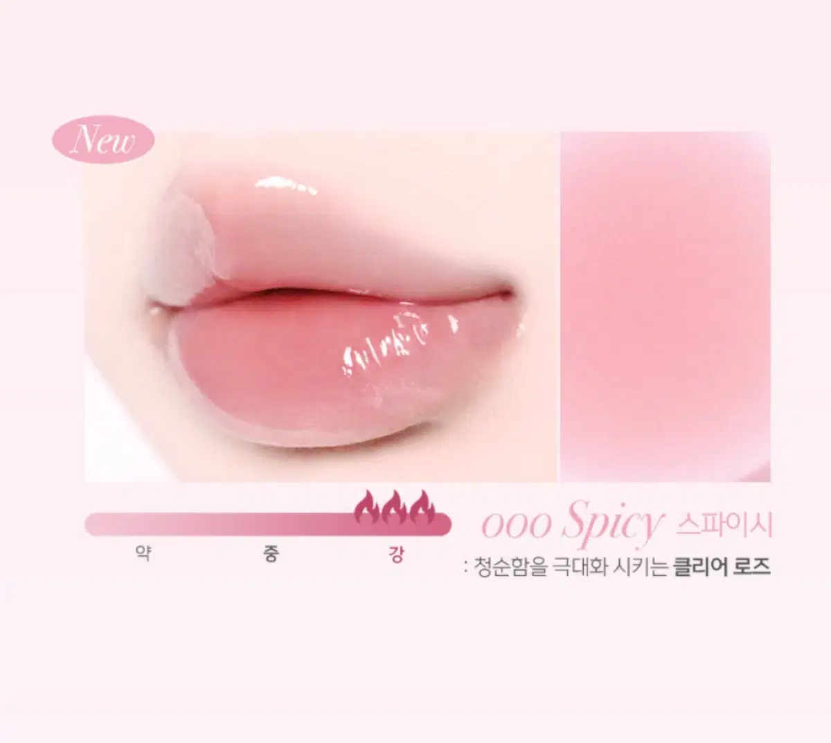 로제브 립플럼퍼 글레이즈 틴트 000 SPICY 새상품