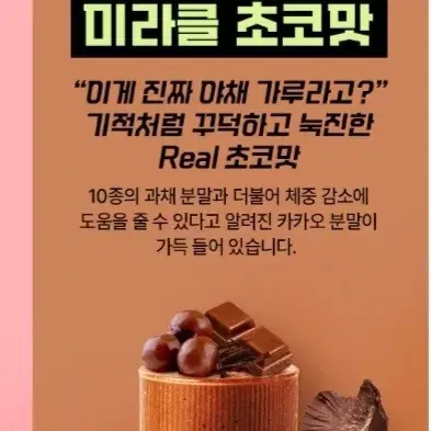 올라잇그린 미라클 초코맛 과채가루 4통