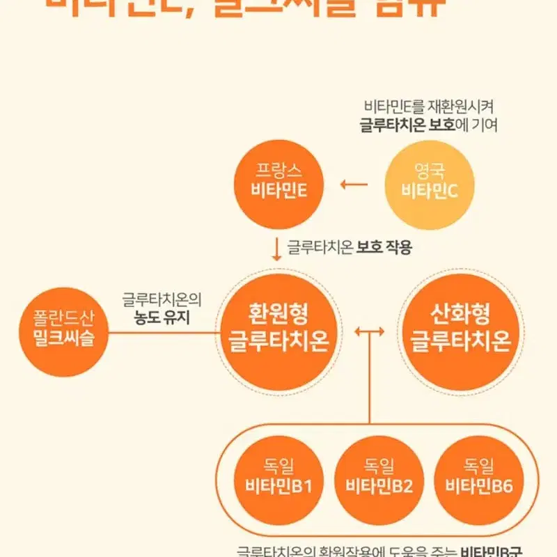 (12개월분) 글루타치온 White토마토 180정 2박스 글루타치온60%