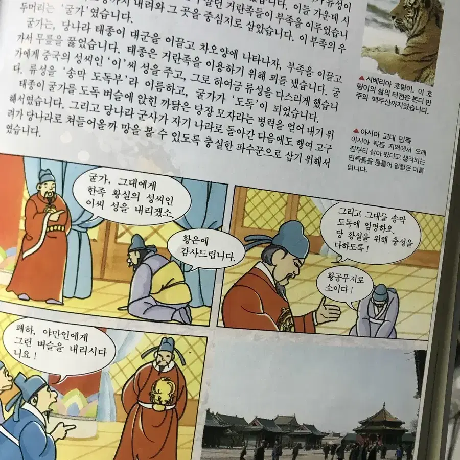 한국사 역사책 시리즈 24권