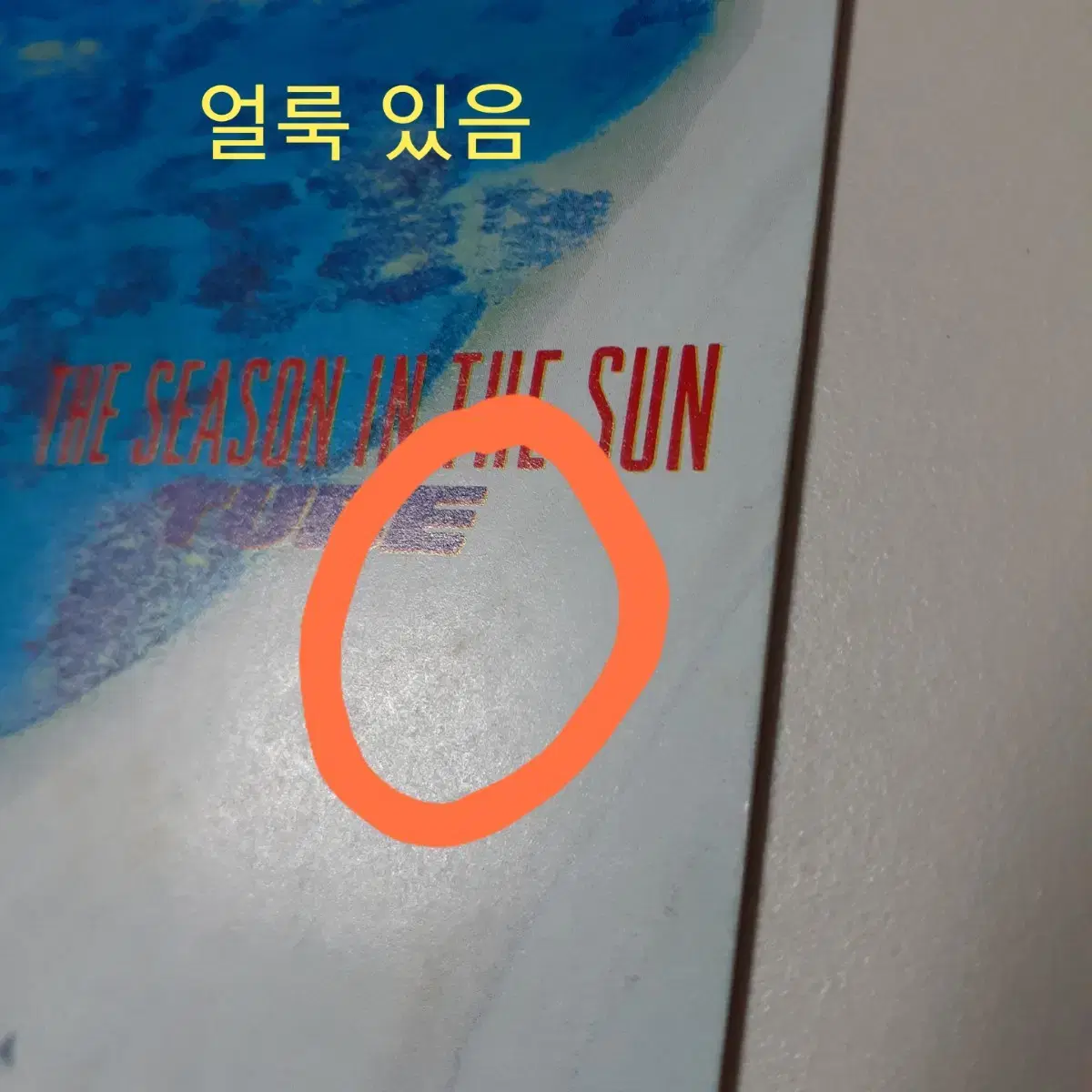 TUBE - THE SEASON IN THE SUN 일본 초판 CD