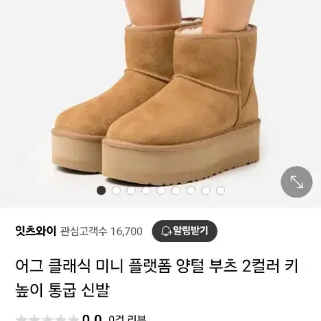 미국어그 플램폼 클래식