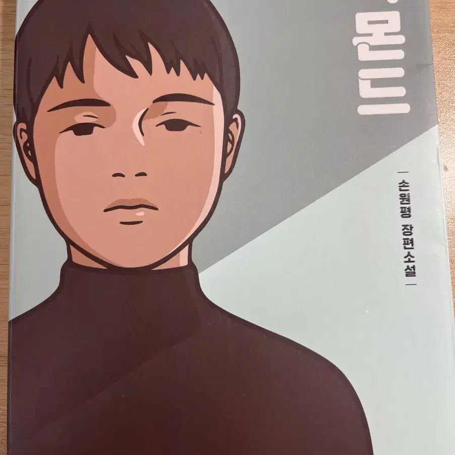 아몬드 장편 소설