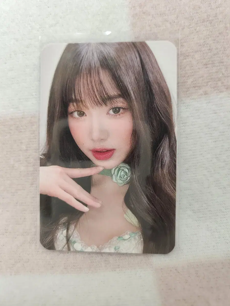 ive jang wonyoung Main Photo Card