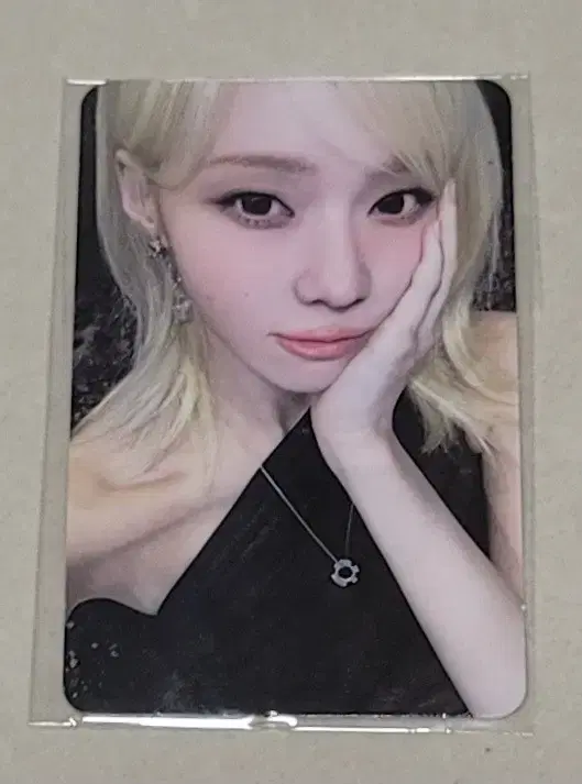 winter Concert MD Mini Pouch poca (Winter)