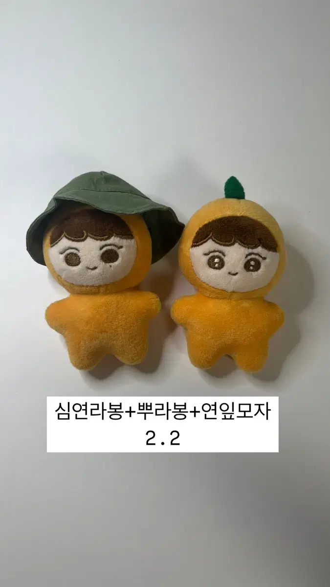 세븐틴 부승관 승관 인형 뿌라봉 심연라봉 연잎모자