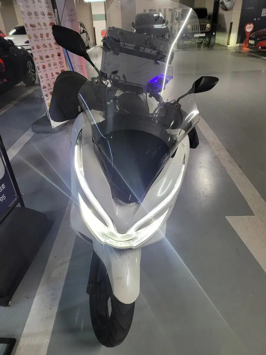 19년 pcx