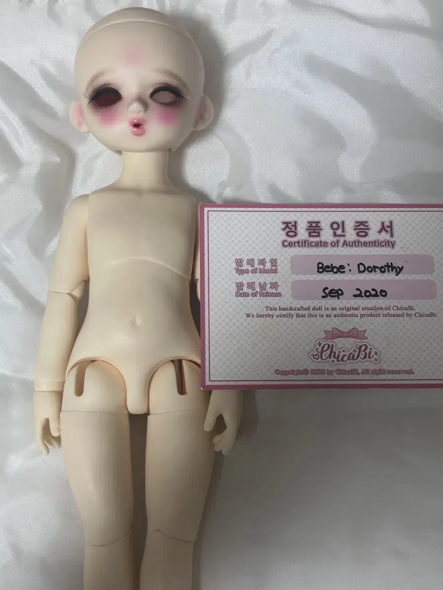 치카비 구체관절인형 구관 판매 (급급처)