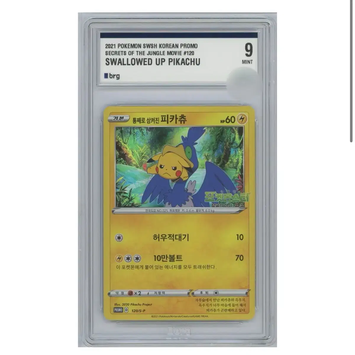 Pokémon Card Pikachu BRG Grading