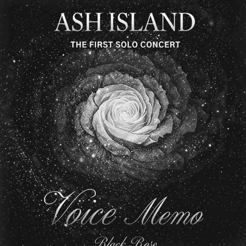 애쉬아일랜드 콘서트 대리티켓팅 댈티 ASH ISLAND