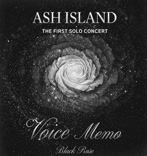 애쉬아일랜드 콘서트 대리티켓팅 댈티 ASH ISLAND