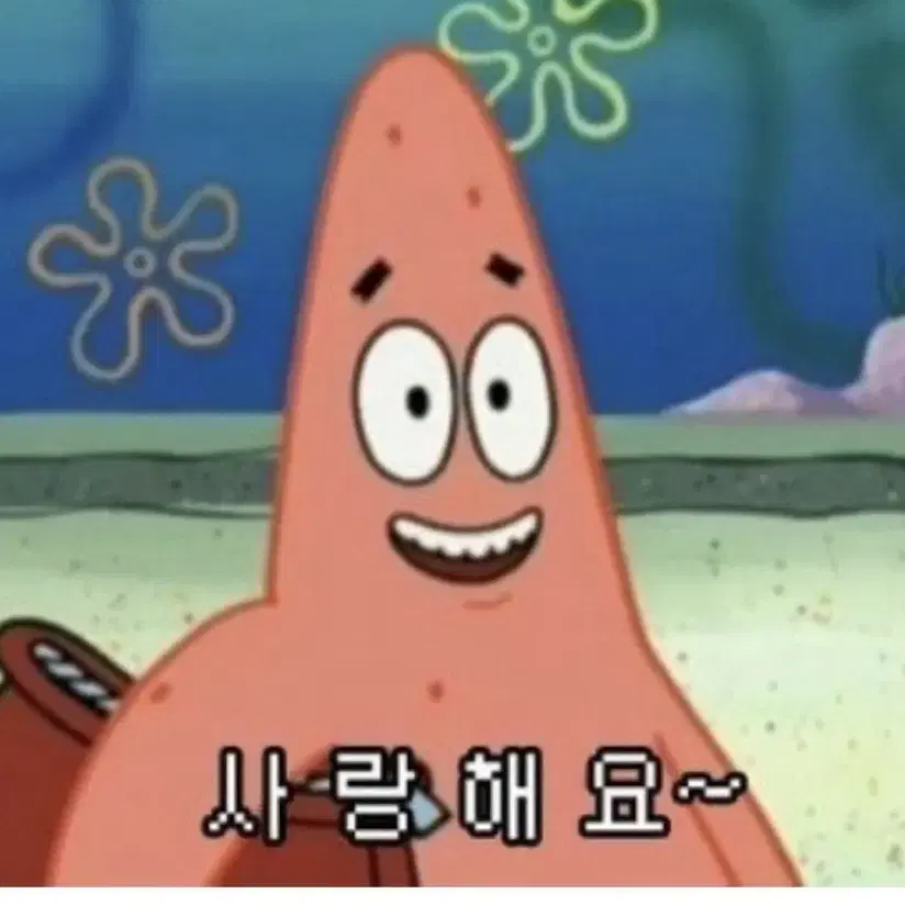 원신 포카