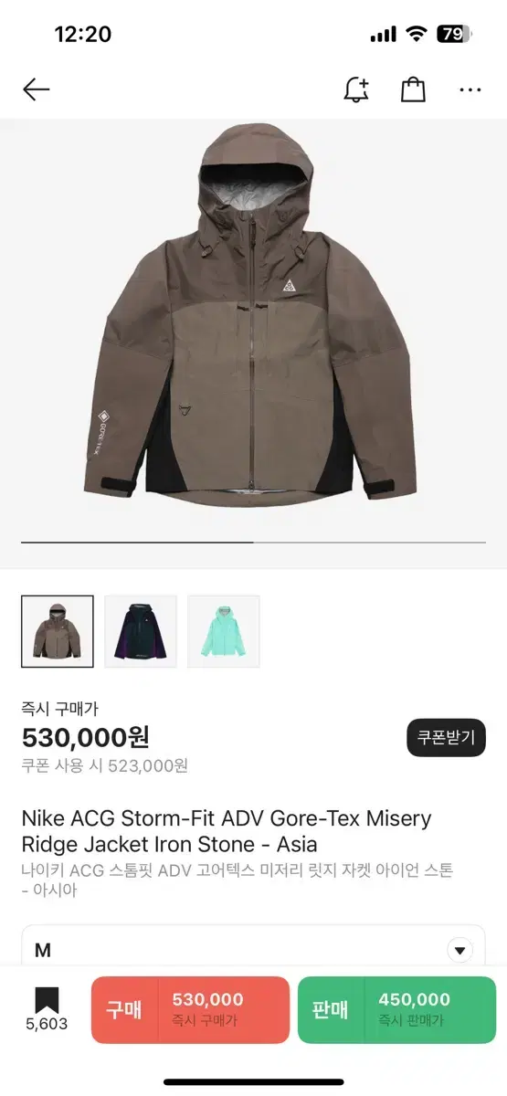 나이키 ACG 스톰핏 ADV 고어텍스 미저리 릿지 자켓 아이언 스톤