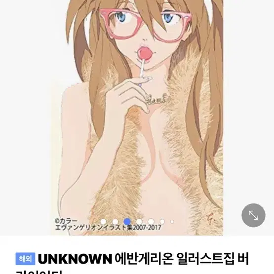 에반게리온 일러스트집