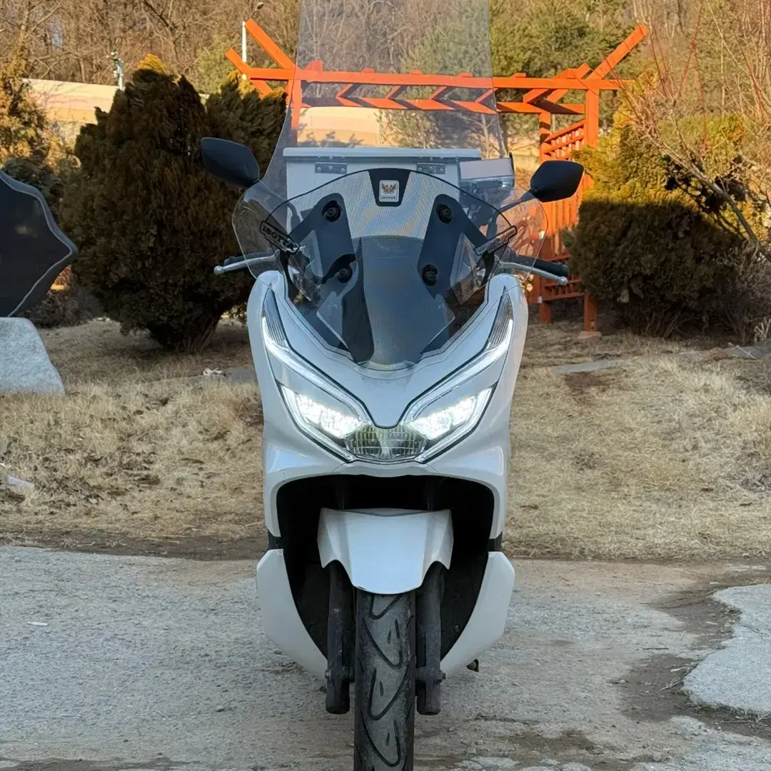 PCX125 19년식 저렴하게 판매합니다