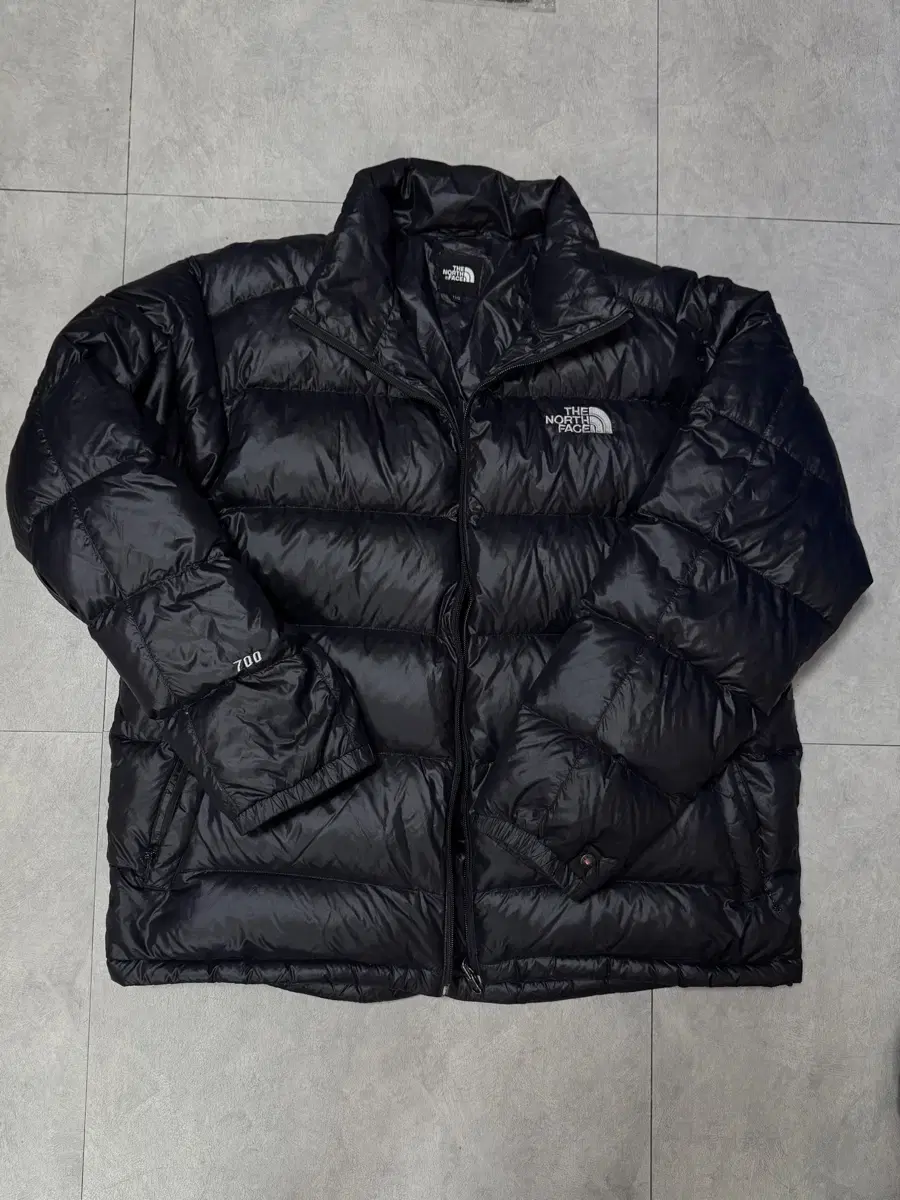 The North Face 700 Goose Lightweight Down Jacket 110